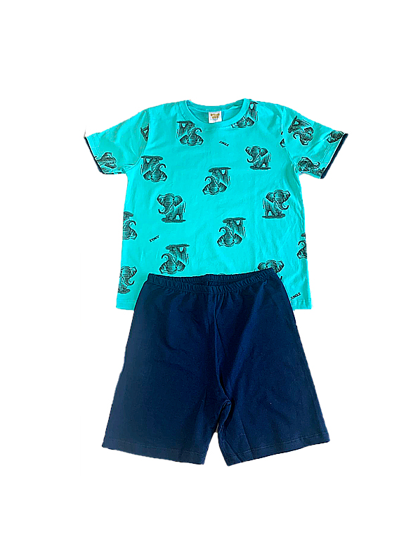 Pijama-curto-infantil-e-infanto-juvenil-masculino-elefantes-Have-Fun-Carambolina-32020-azul.jpg