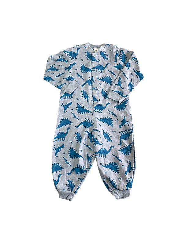 Pijama-macacao-moletinho-felpado-estampado-infantil-masculino-dinossauro-Have-Fun-Carambolina-31141.jpg
