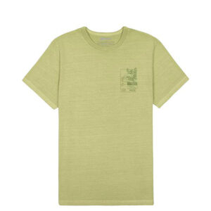 Camiseta-com-estampa-manga-curta-juvenil-masculina-verde—Alakazoo—Carambolina—34765